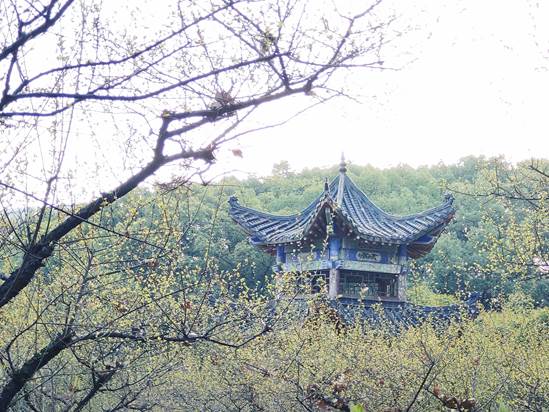 山顶的春天 熊凯伦(信管)